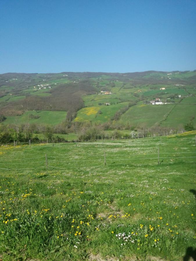 Fattoria Ca' Di Fatino Bed and Breakfast Castiglione dei Pepoli Exteriör bild